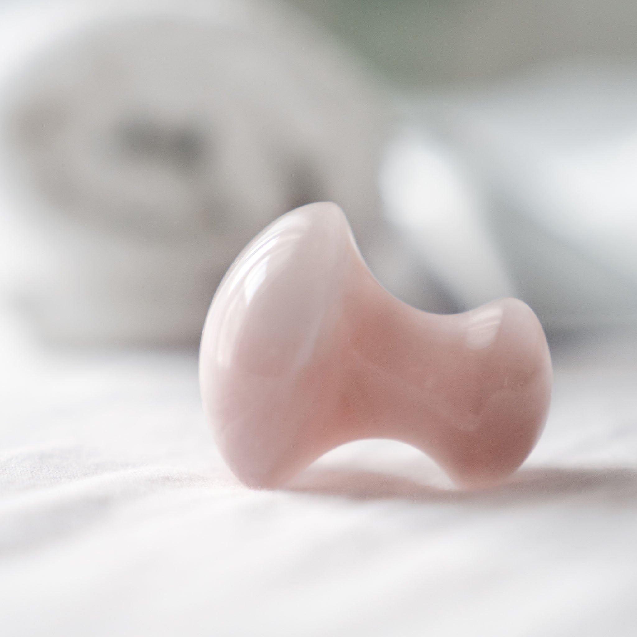Gua Sha champignon de massage